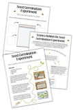 Bean in a Bag Seed Germination Experiment Worksheets