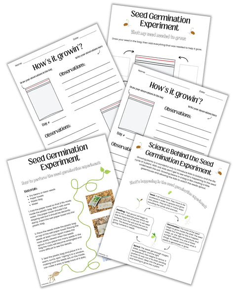 Preview pages from a Bean-in-a-Bag Seed Germination Experiment printable, including step-by-step instructions, science explanation, daily observation sheets, and ‘what my seed needed to grow’ activity pages for kids.